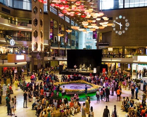 Affordable showroom launch packages